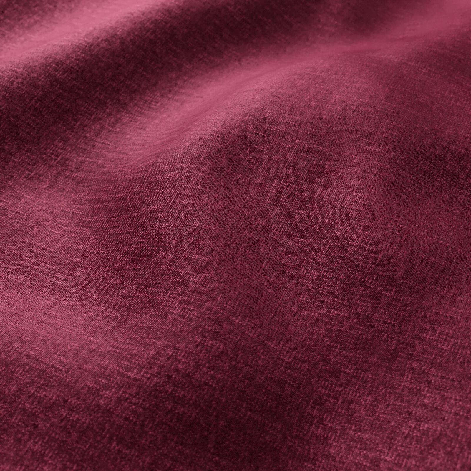 Edwina_Peony