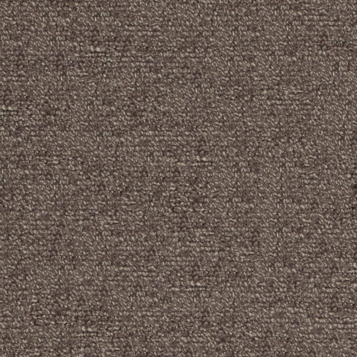 Lombok_Truffle