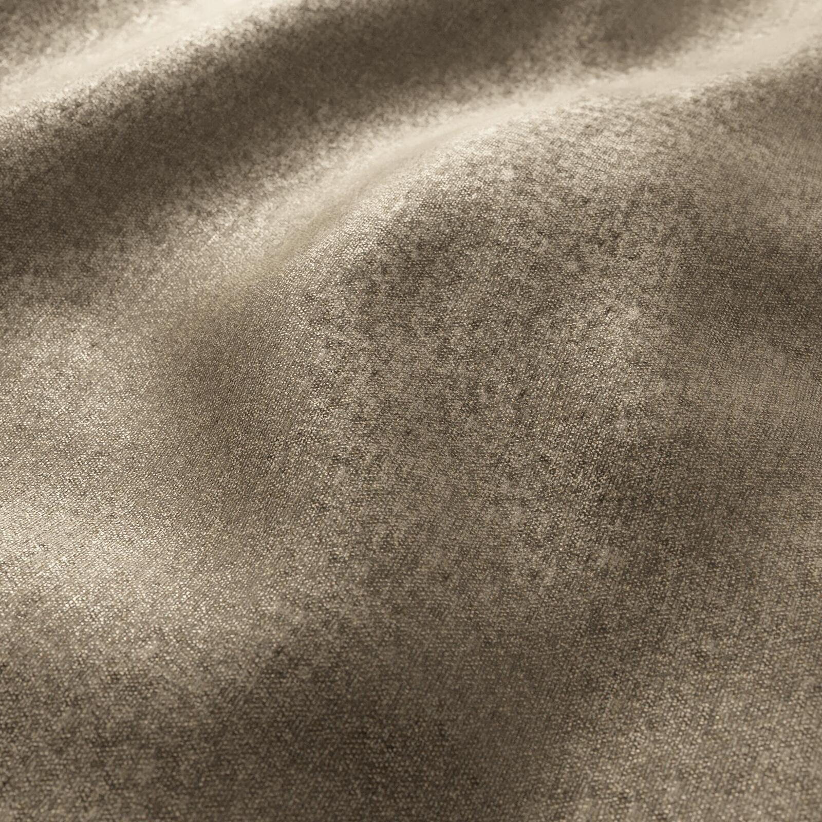 Salsa_Cedar