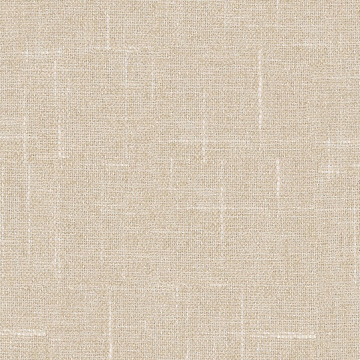 Sula_Papyrus