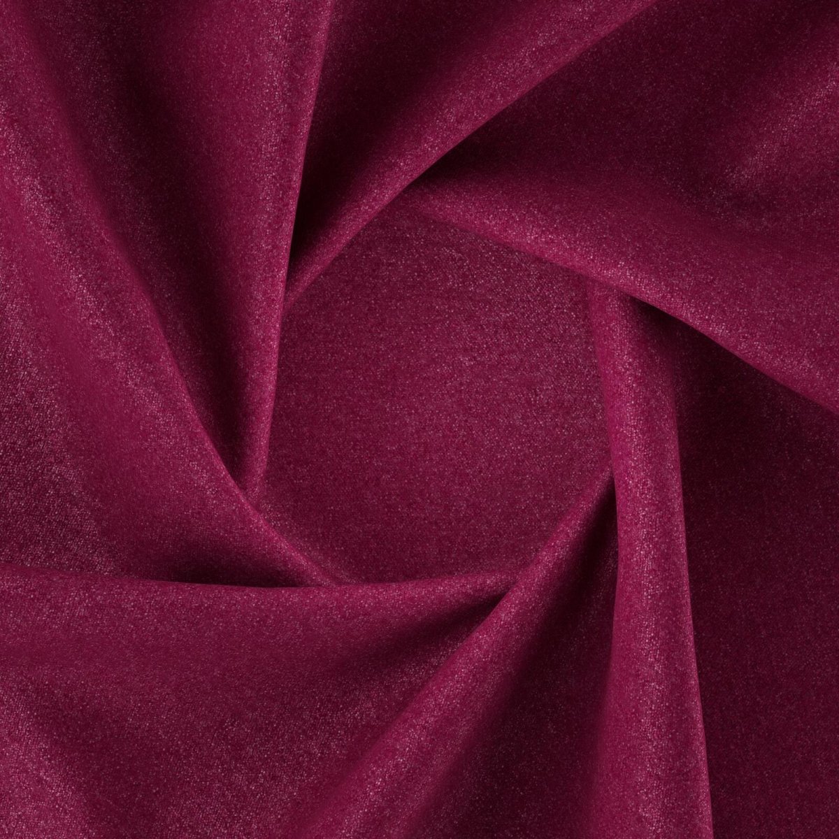 Sumatra_Fuchsia