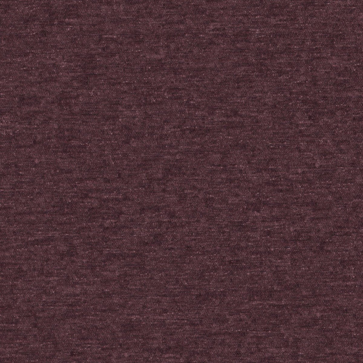 Widi_Aubergine