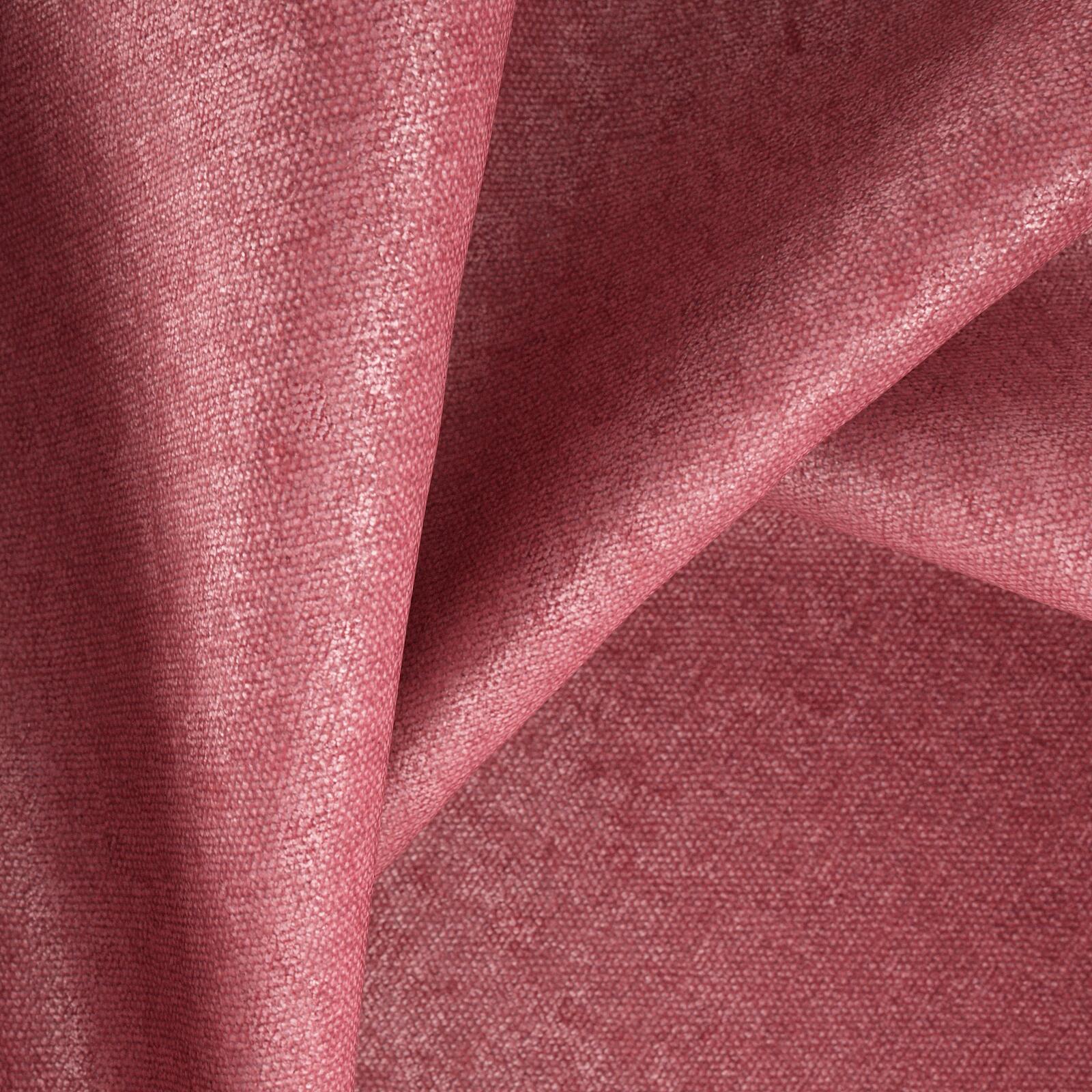 Mambo_Peony