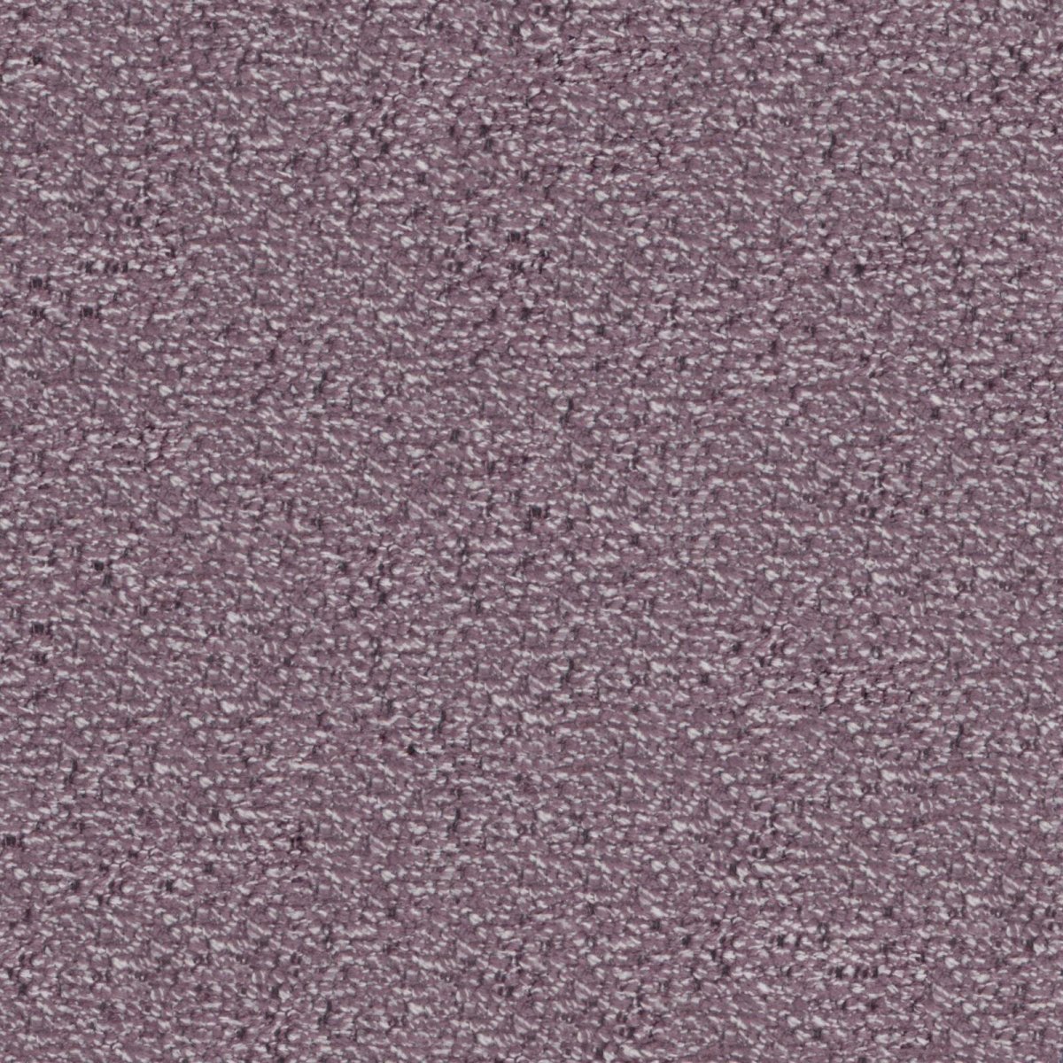 Lombok_Lavender