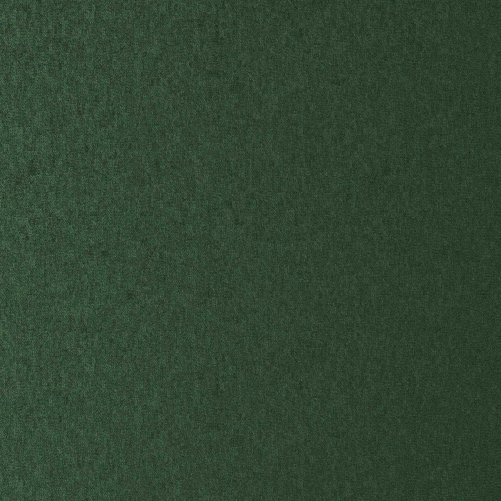 Mambo_Forest