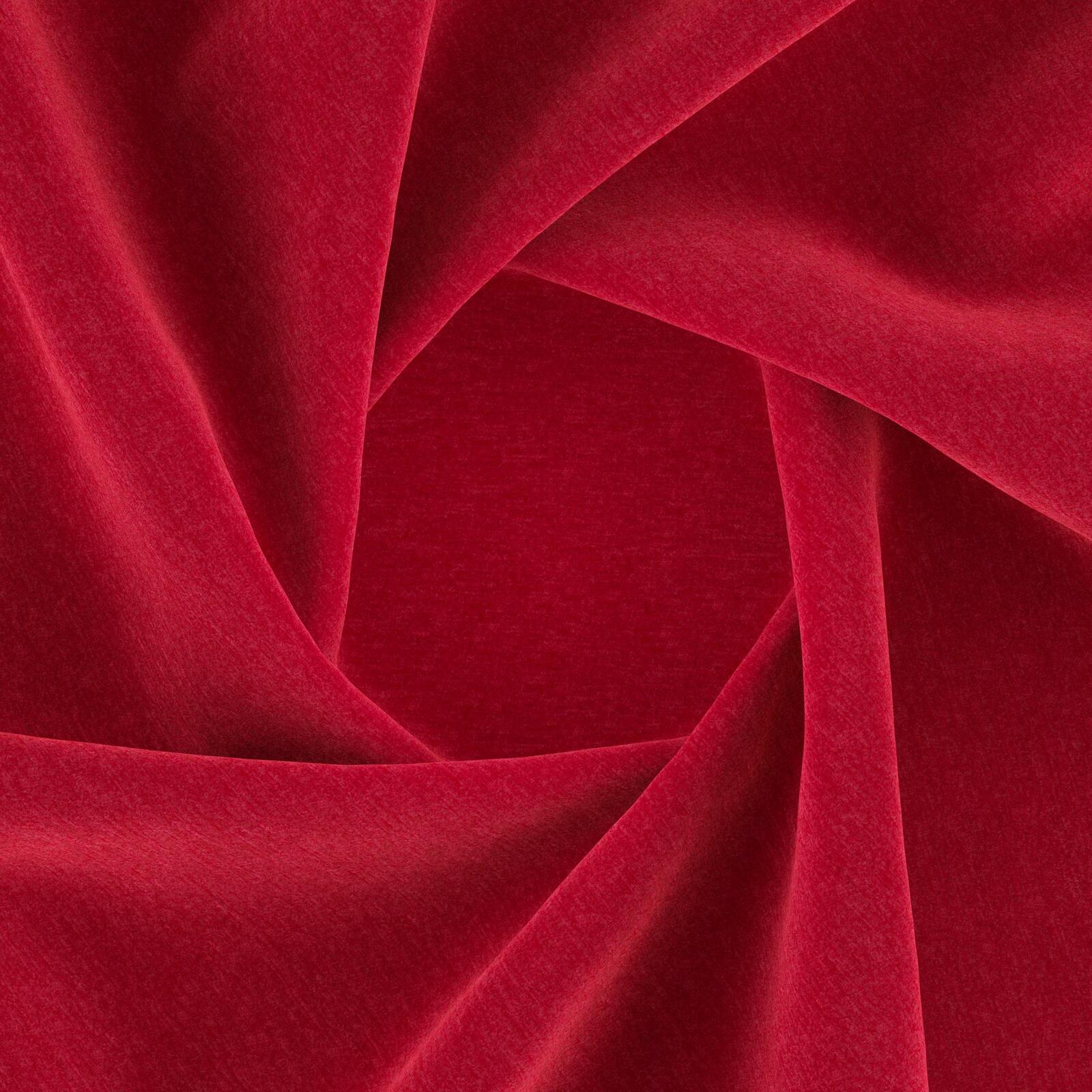 Limerik_Cardinal