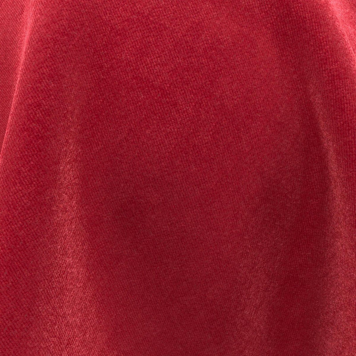 Timor_Scarlet