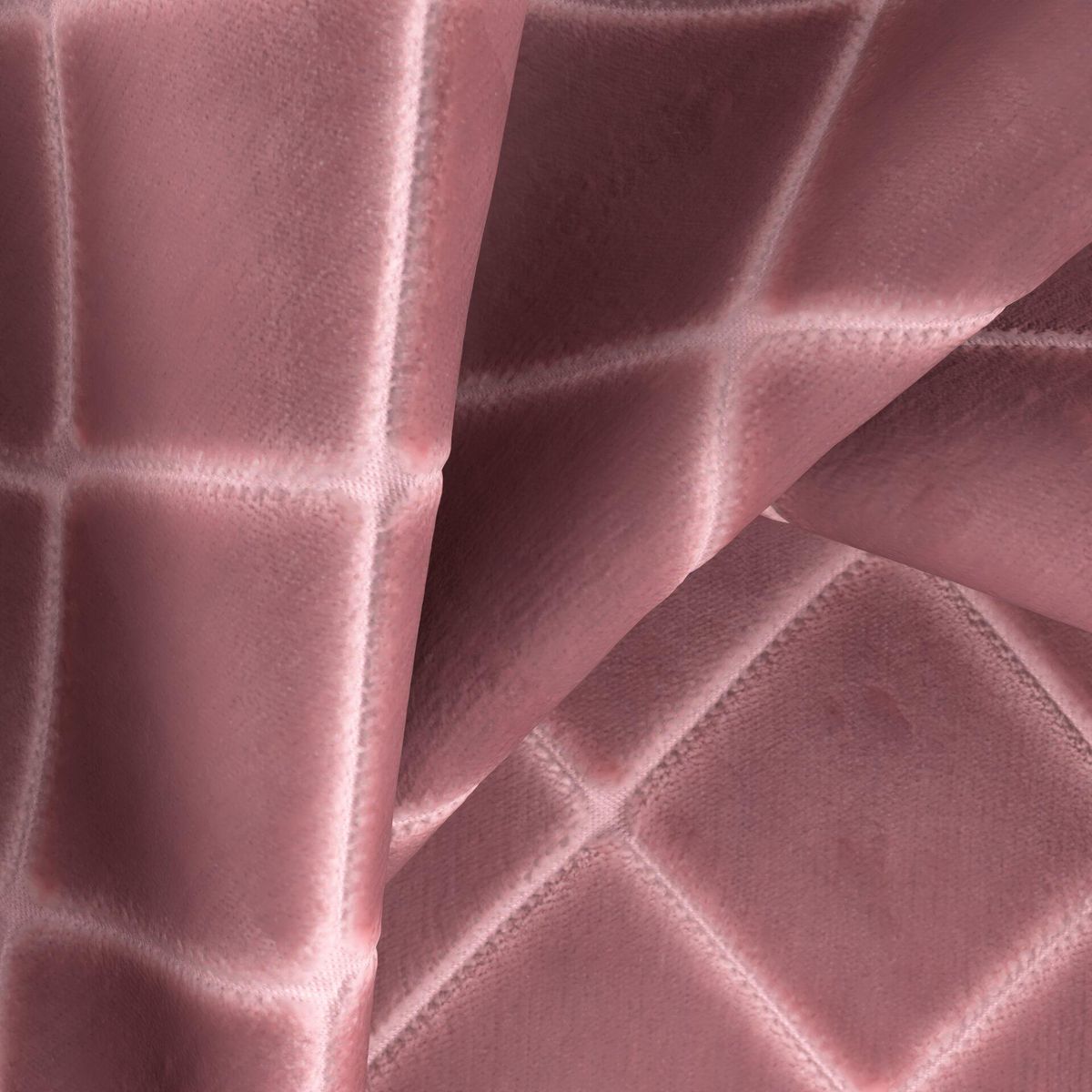 Ginevra _Peony