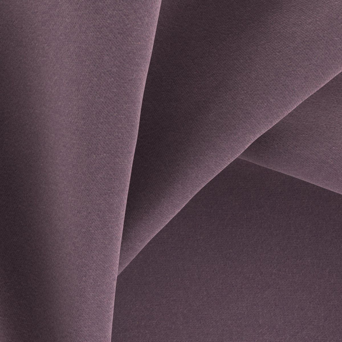Genesis_Plum