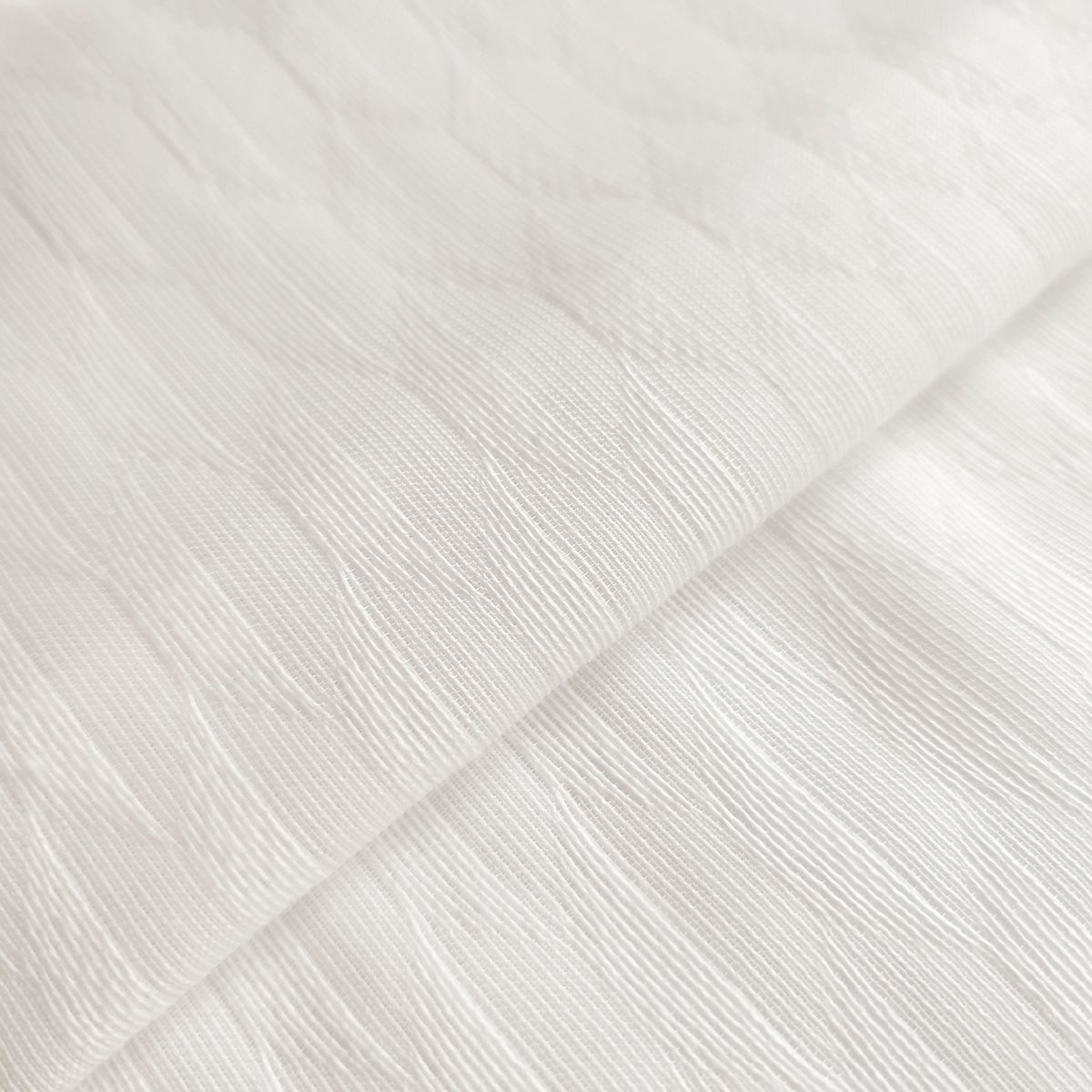 Tanaka_Wool