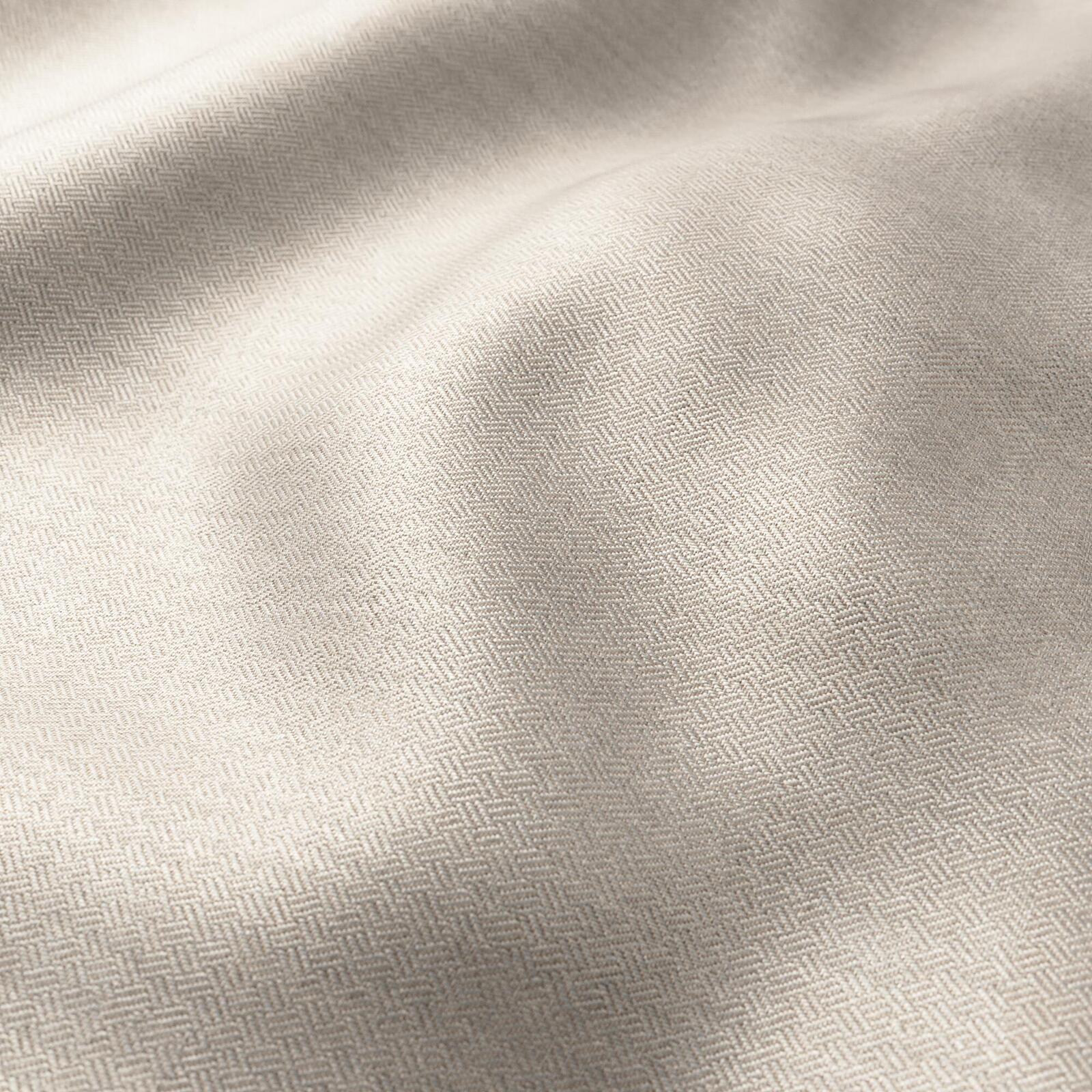 Nocturnal beech
