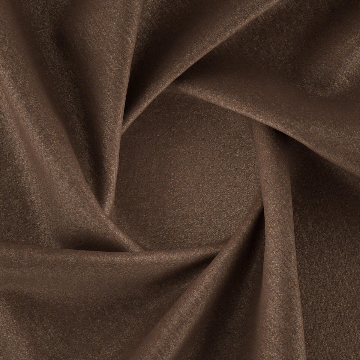 Sumatra_Walnut