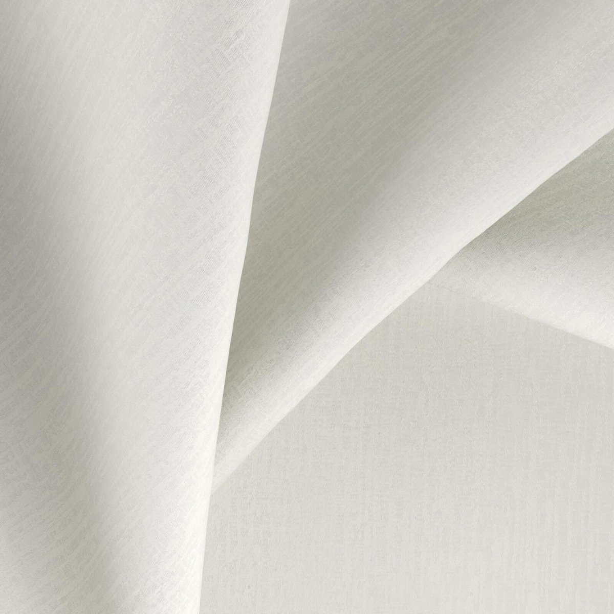 Wetar_Wool
