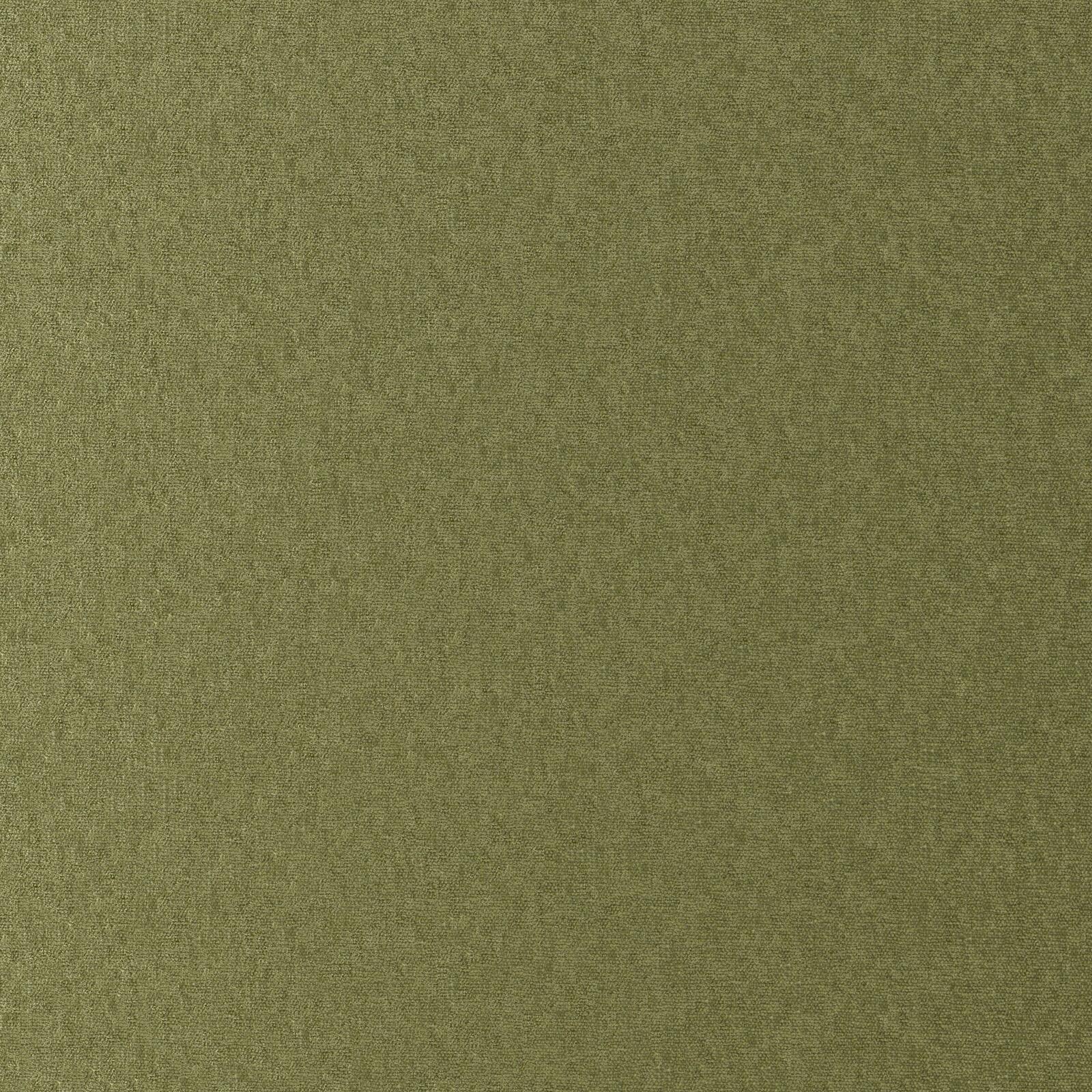 Mambo_Olive