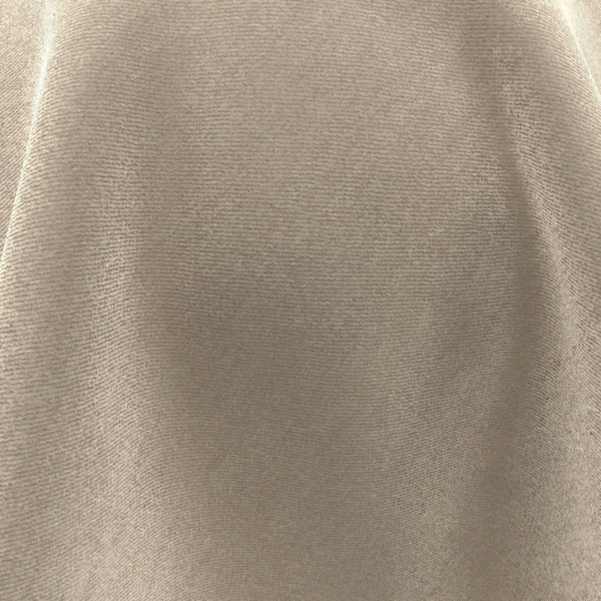 Timor_Taupe