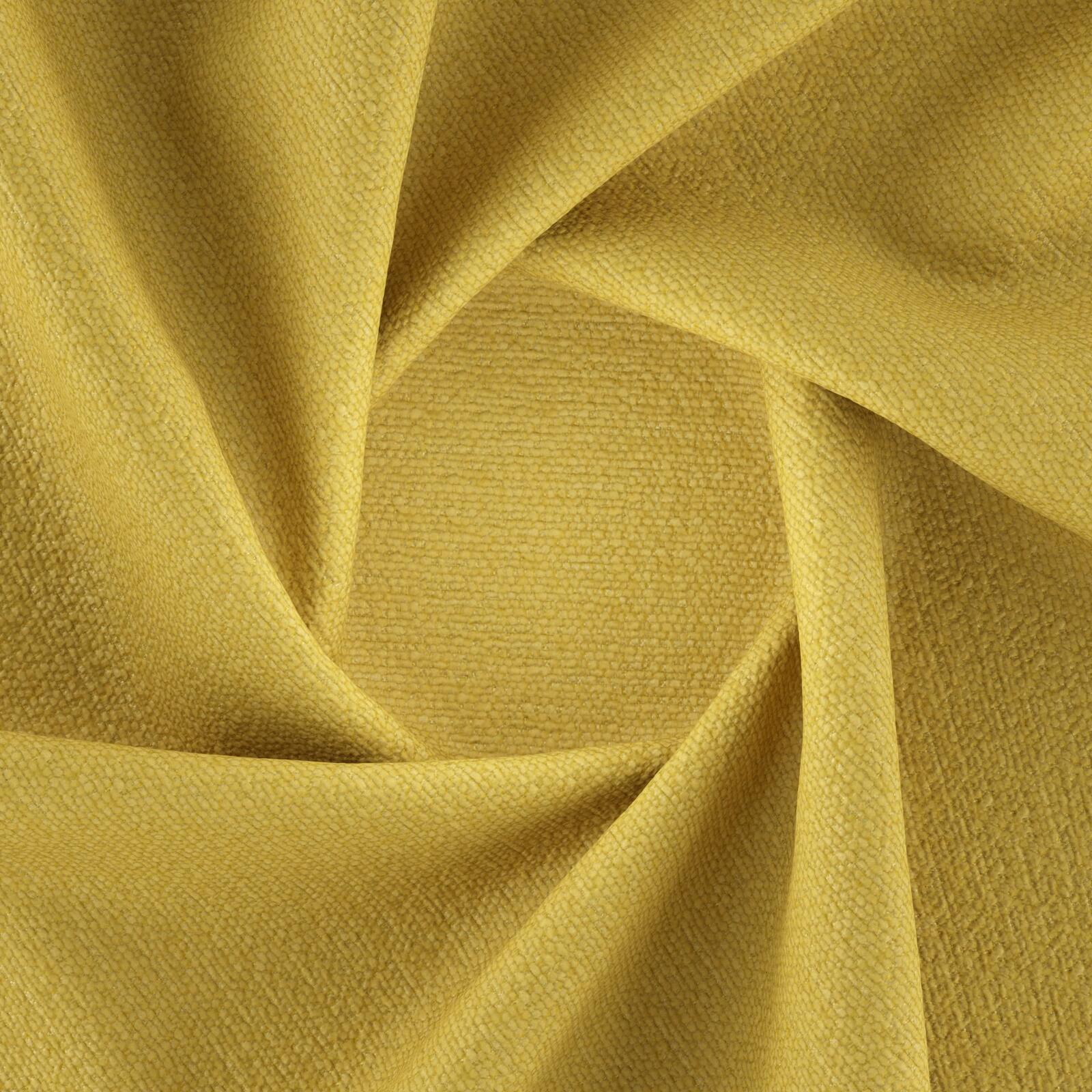 Harvard _Sunflower