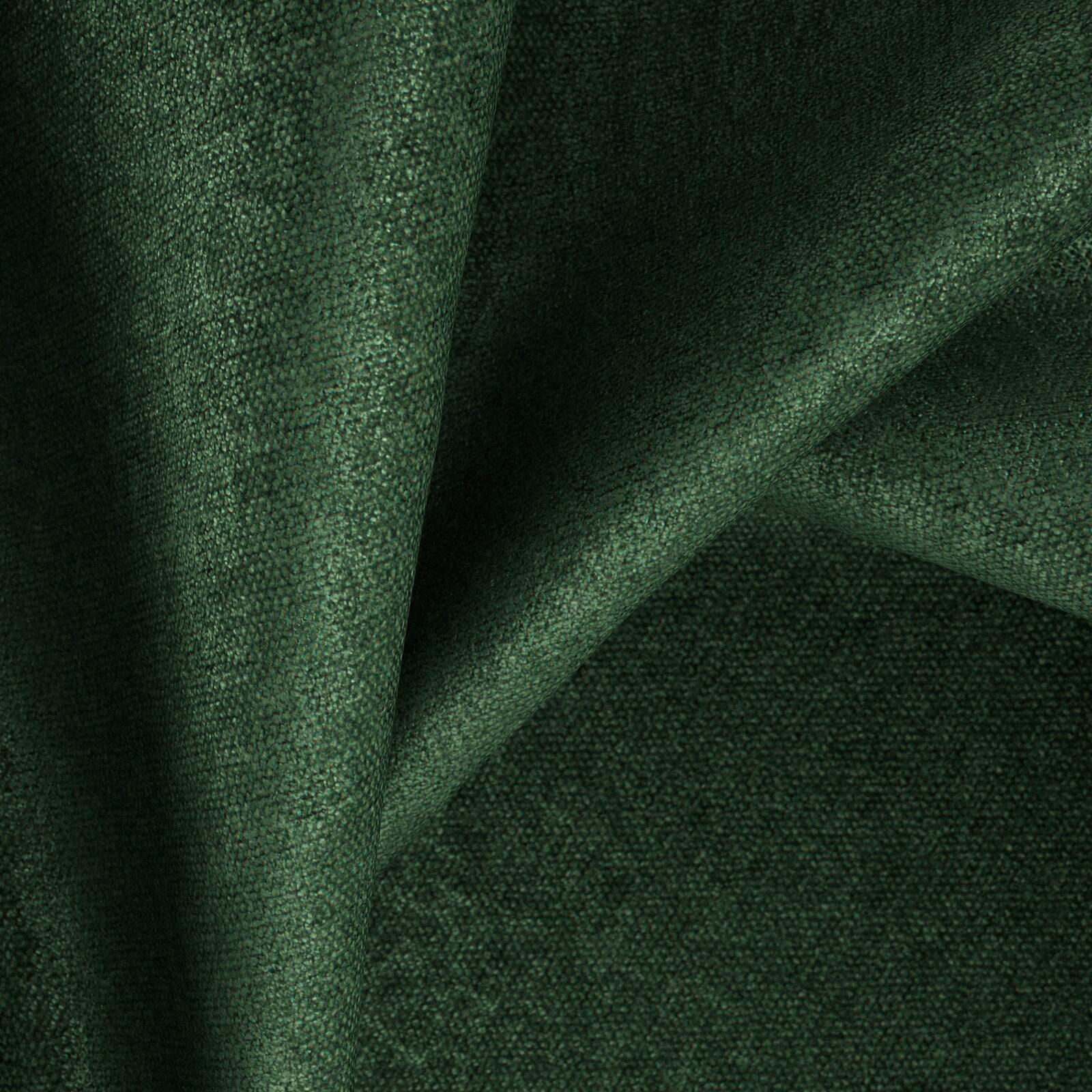 Mambo_Forest