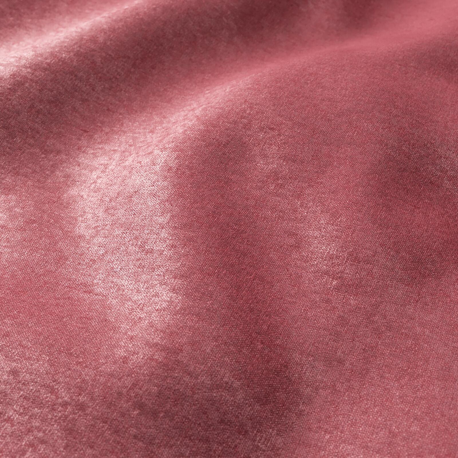 Mambo_Peony