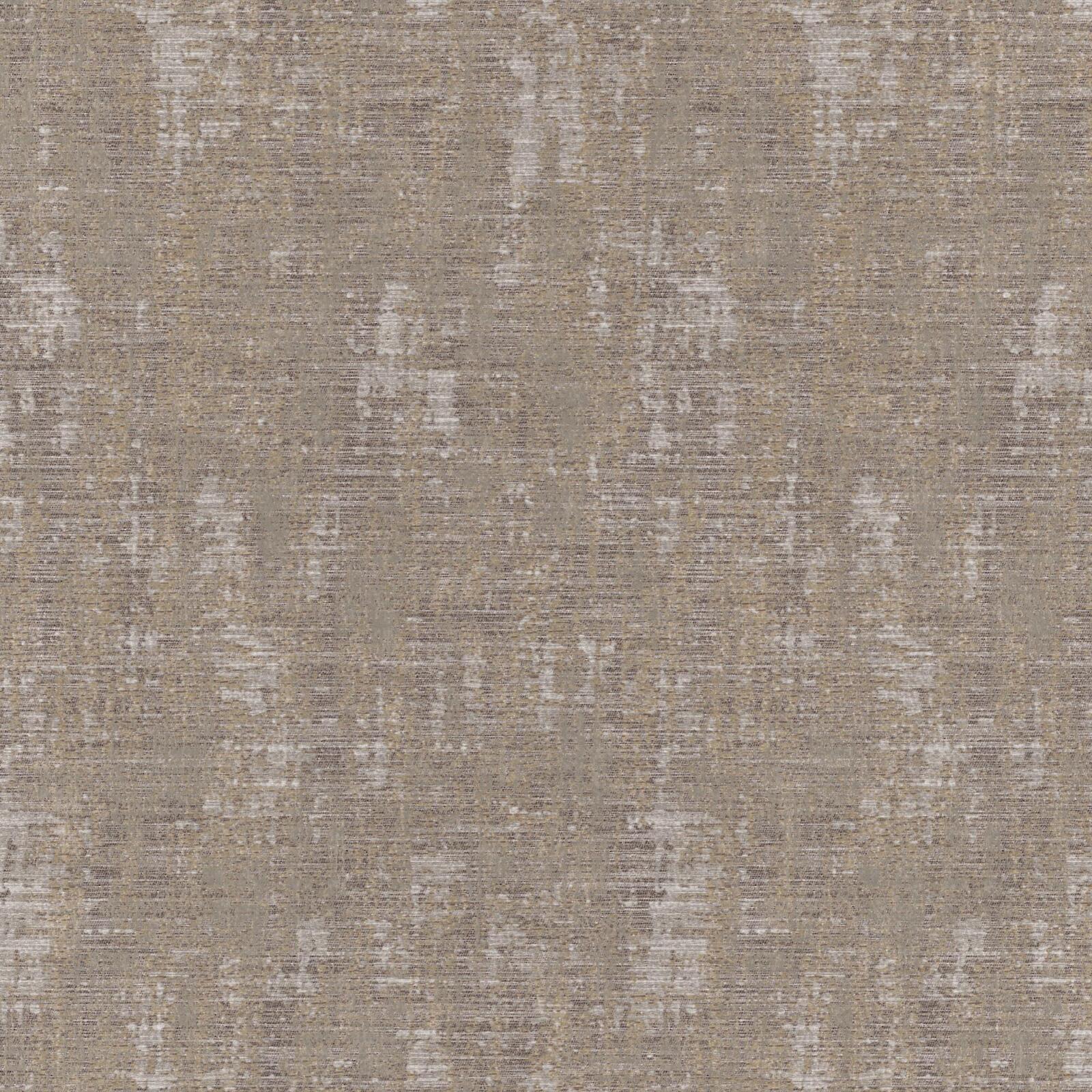 Foreland_fossil