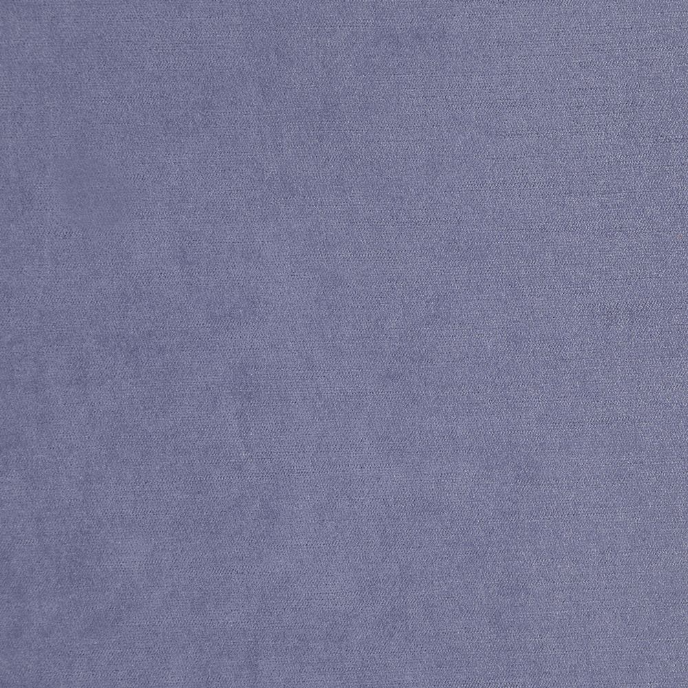 Nova_Blueberry