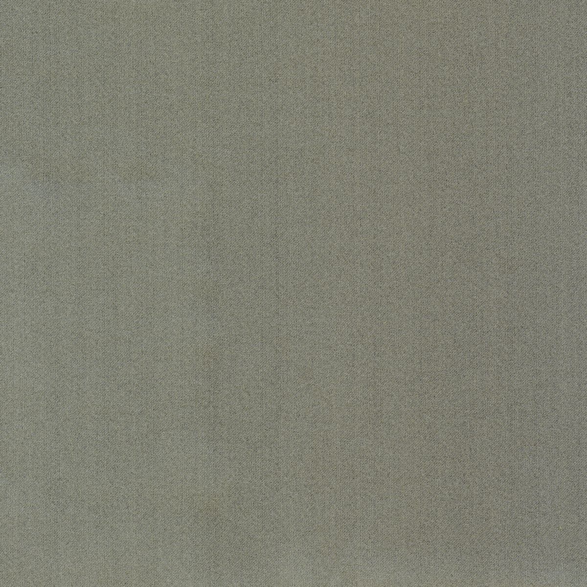 Manitu_Chinchilla