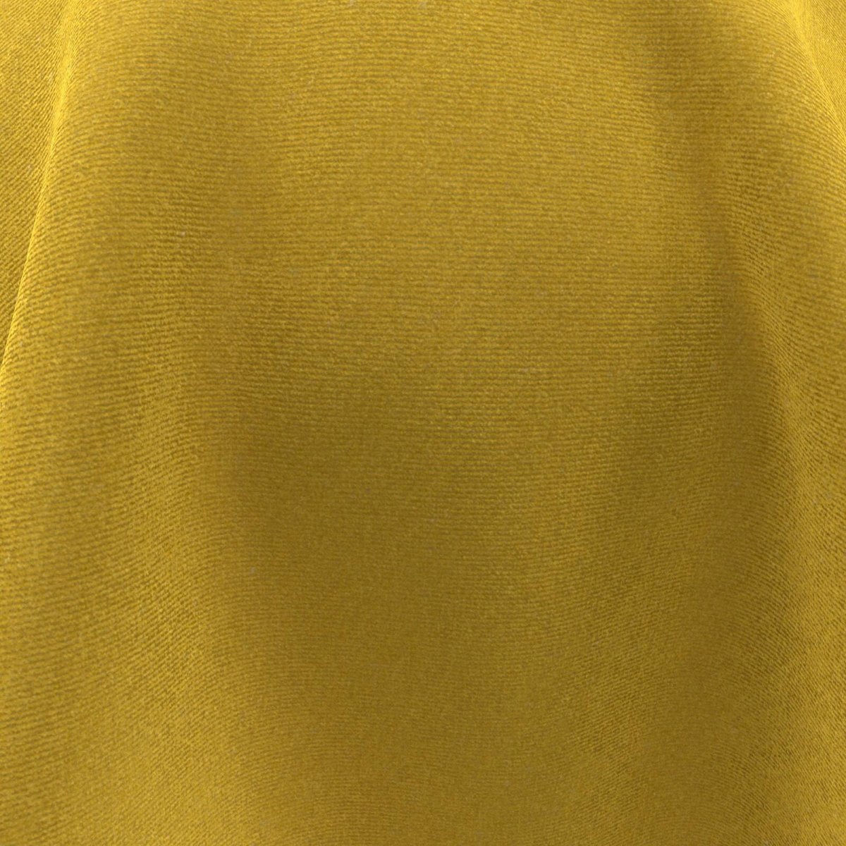 Timor_Mimosa