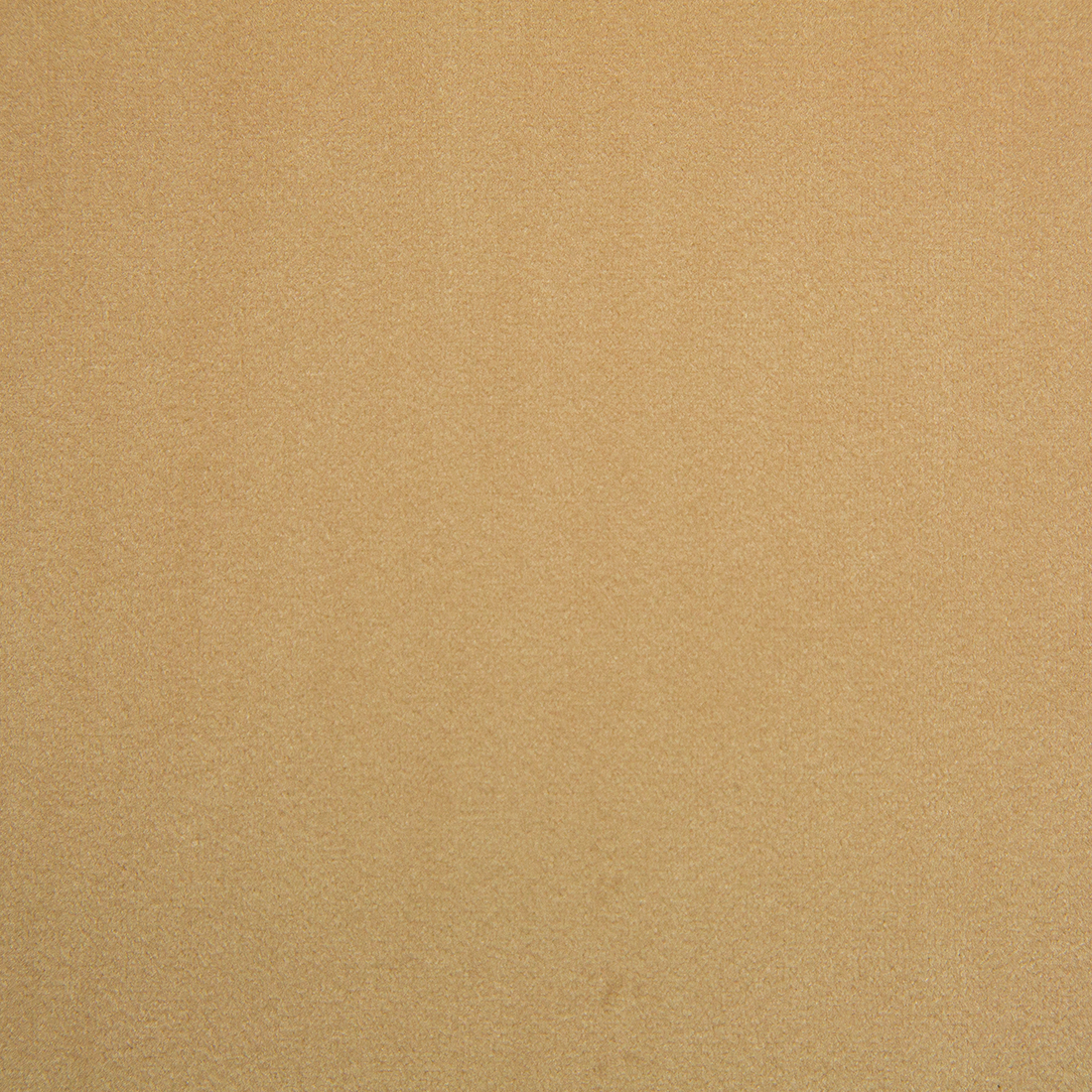 Remo 022