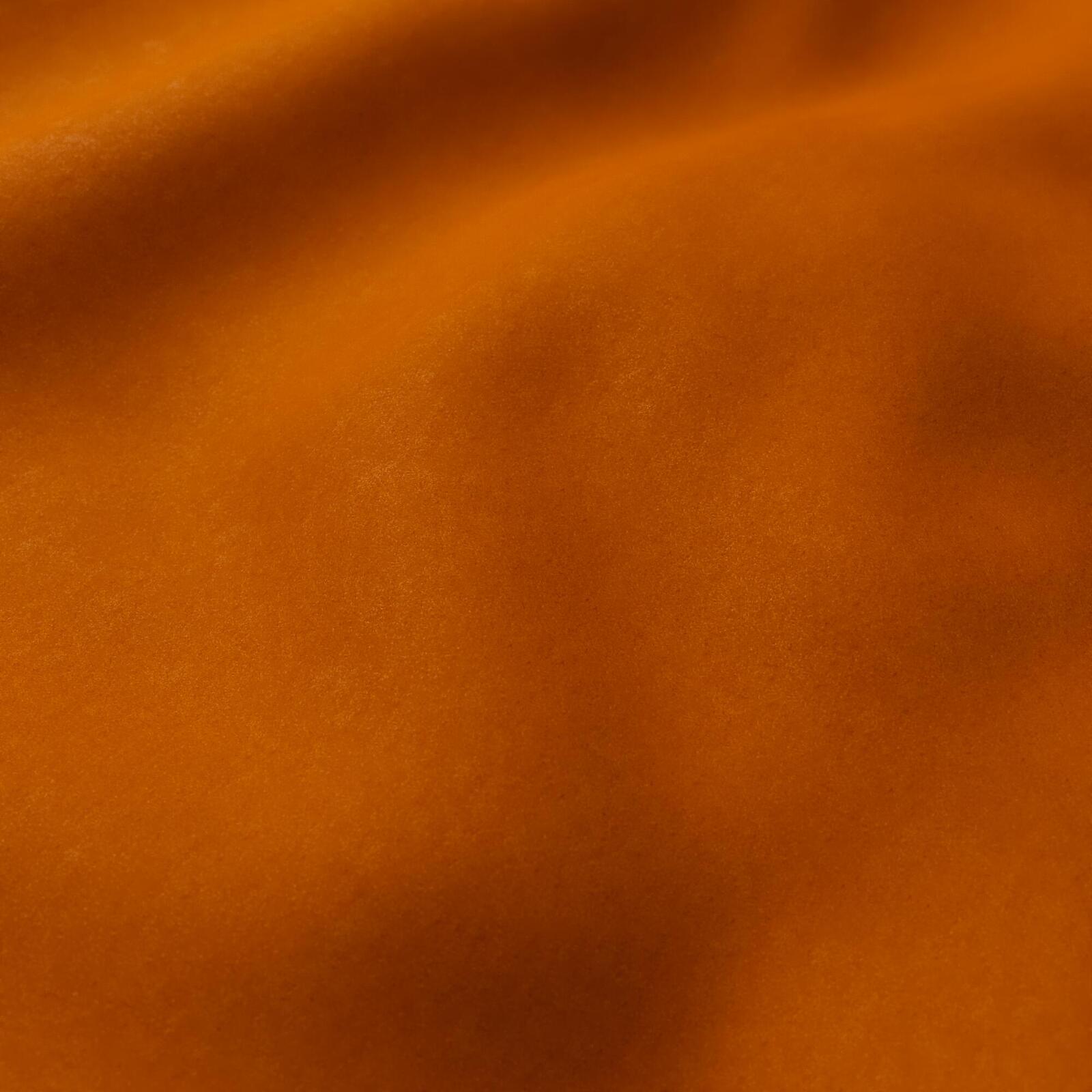 Welfare_Clementine