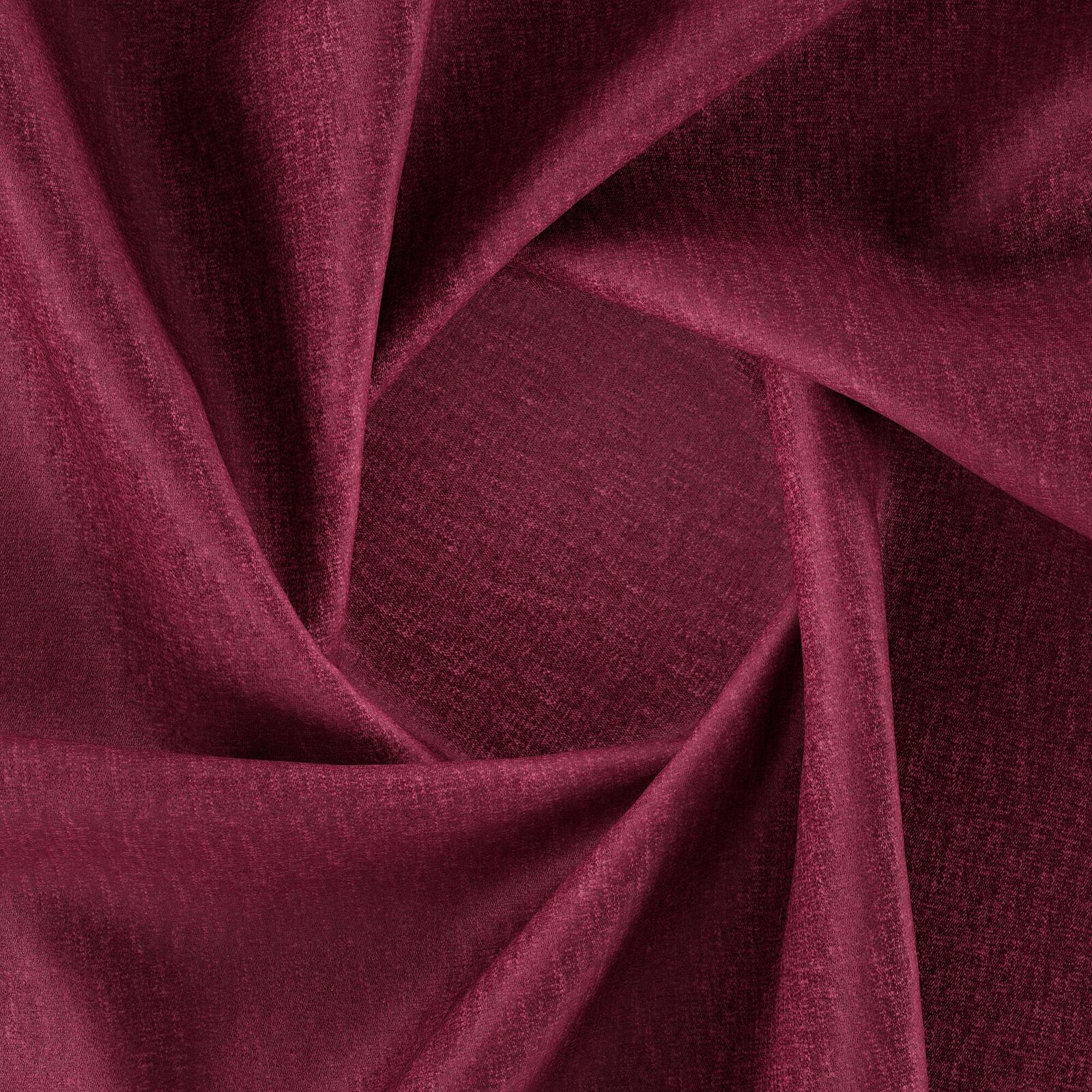 Edwina_Peony