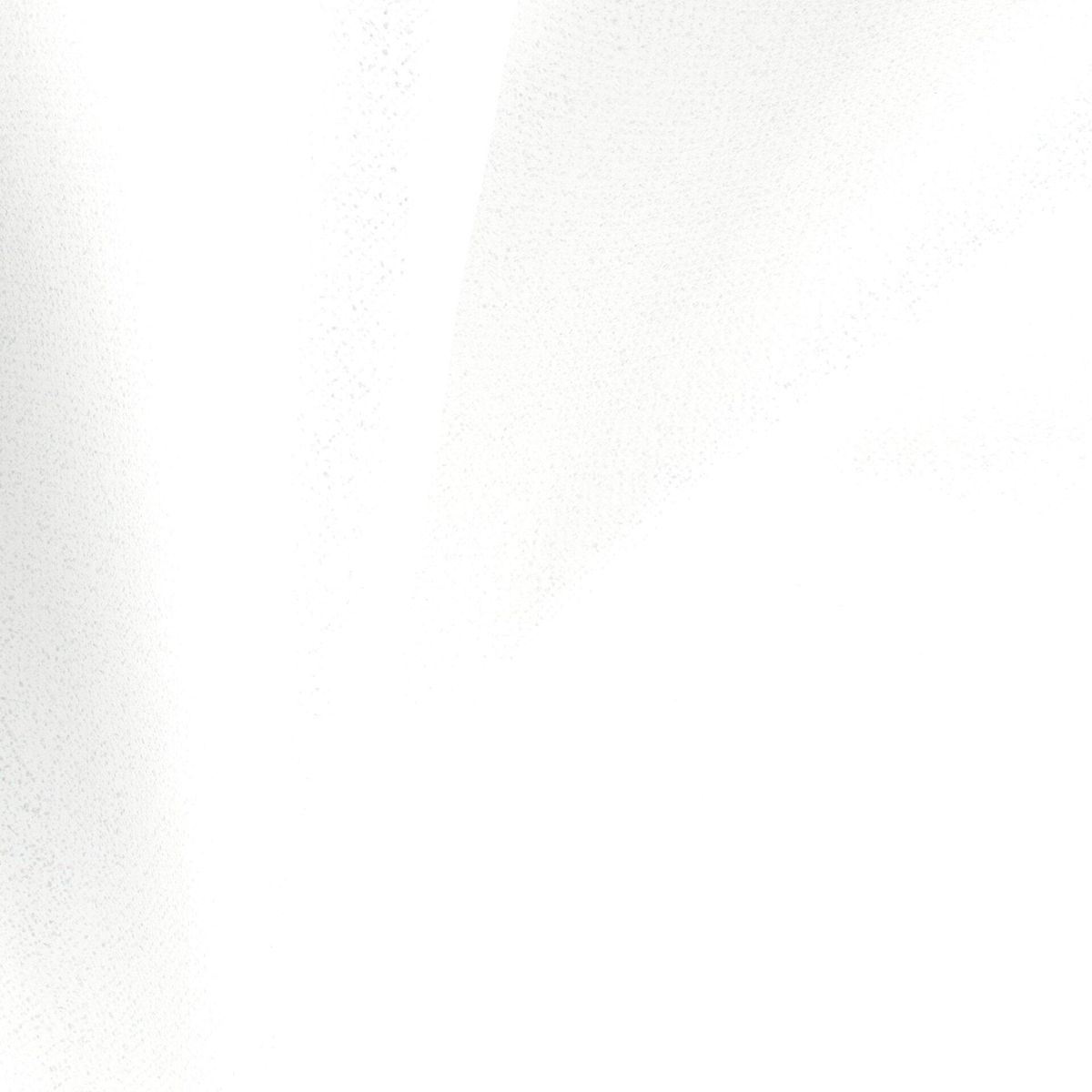 Romney_Snow