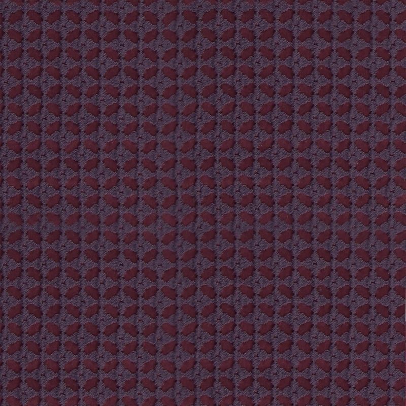 Neonelli