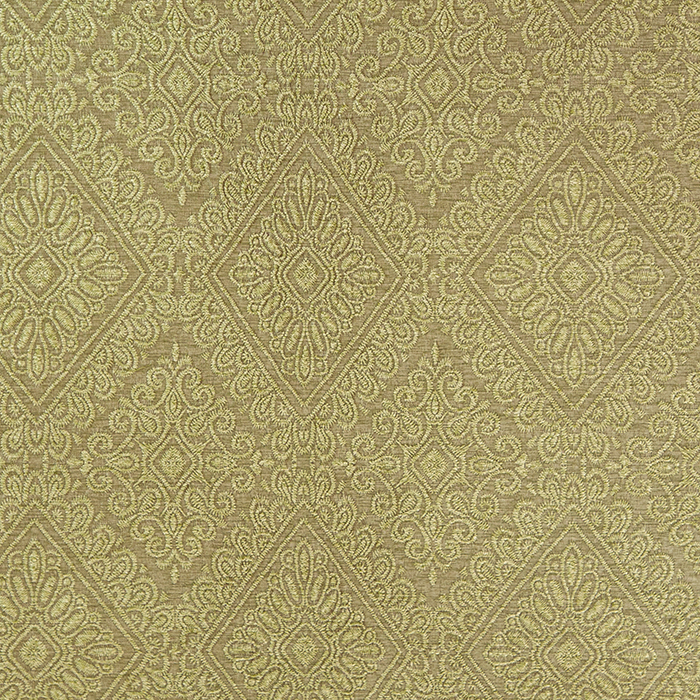 Aurelia 050