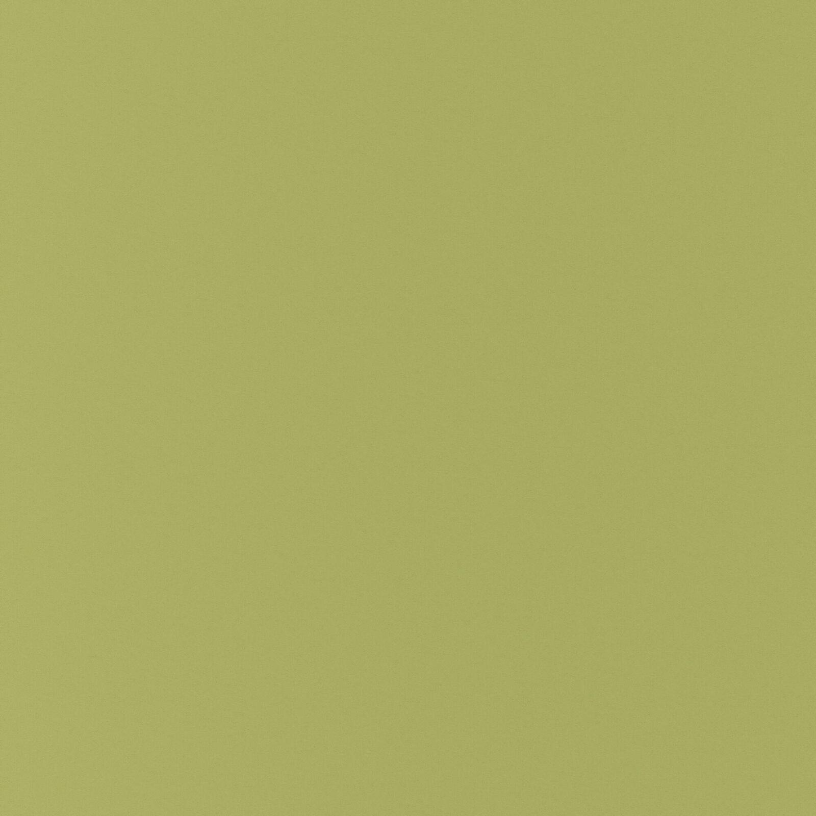 Indigo_Turtle/16