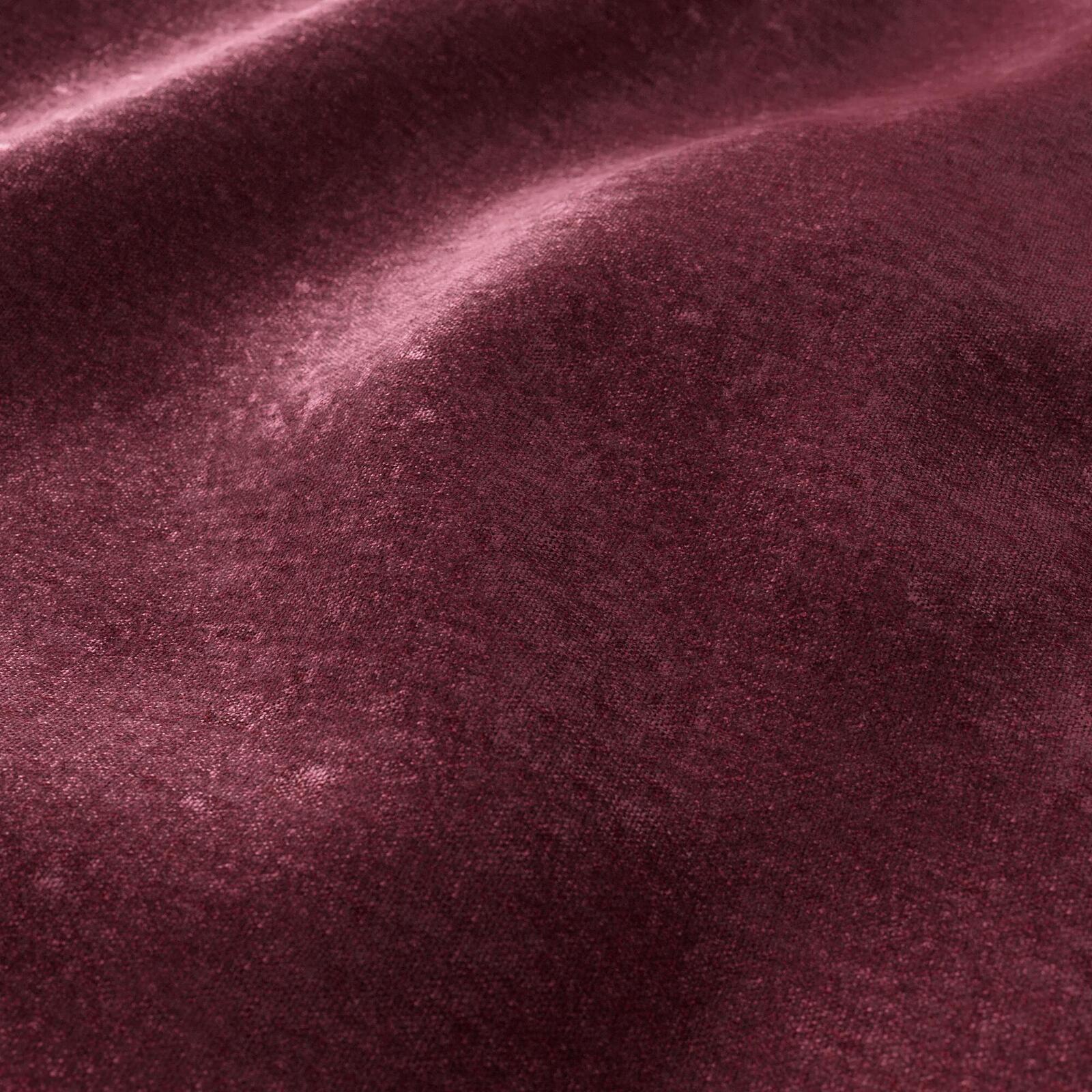 Salsa_Peony