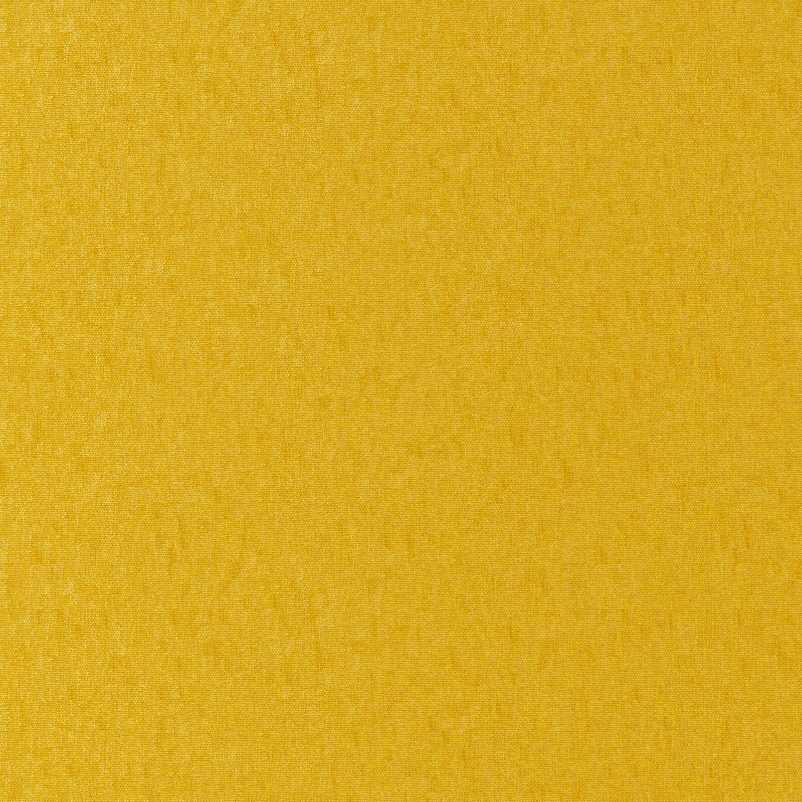 Mambo_Sun