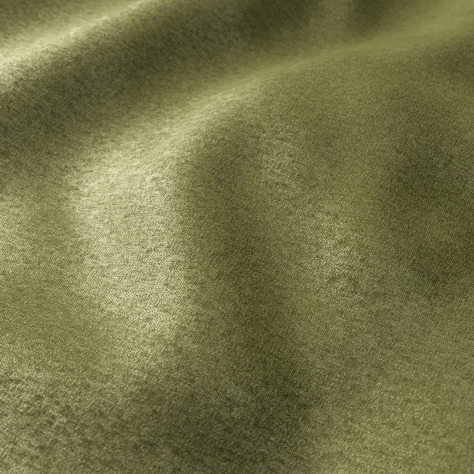 Mambo_Olive