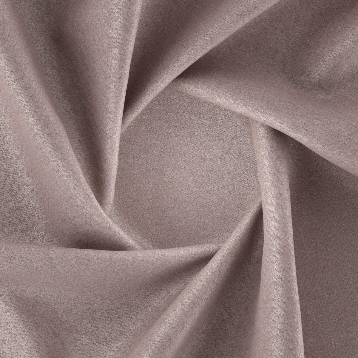 Sumatra_Plum