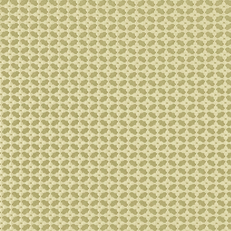Neonelli