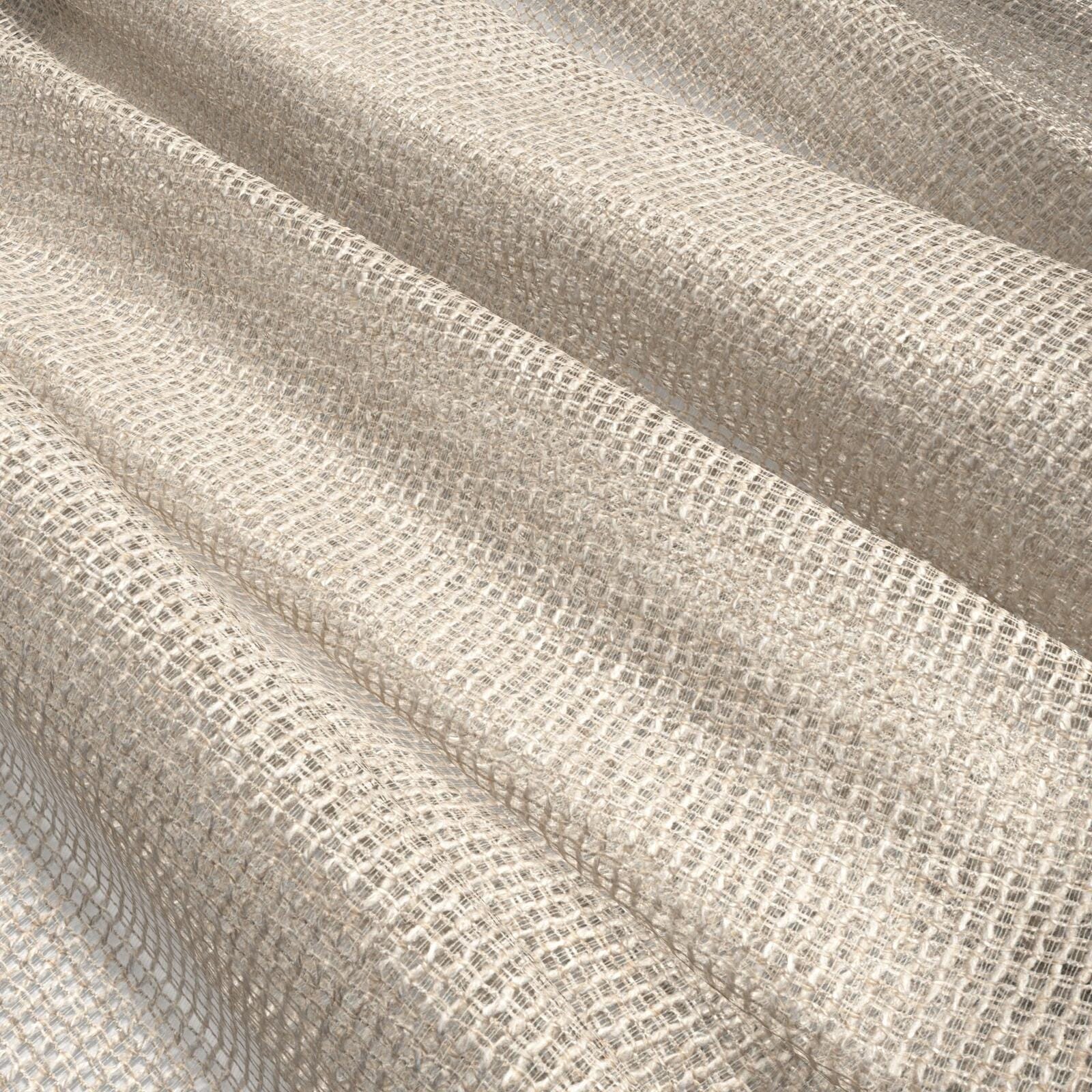 Bondi_Fossil