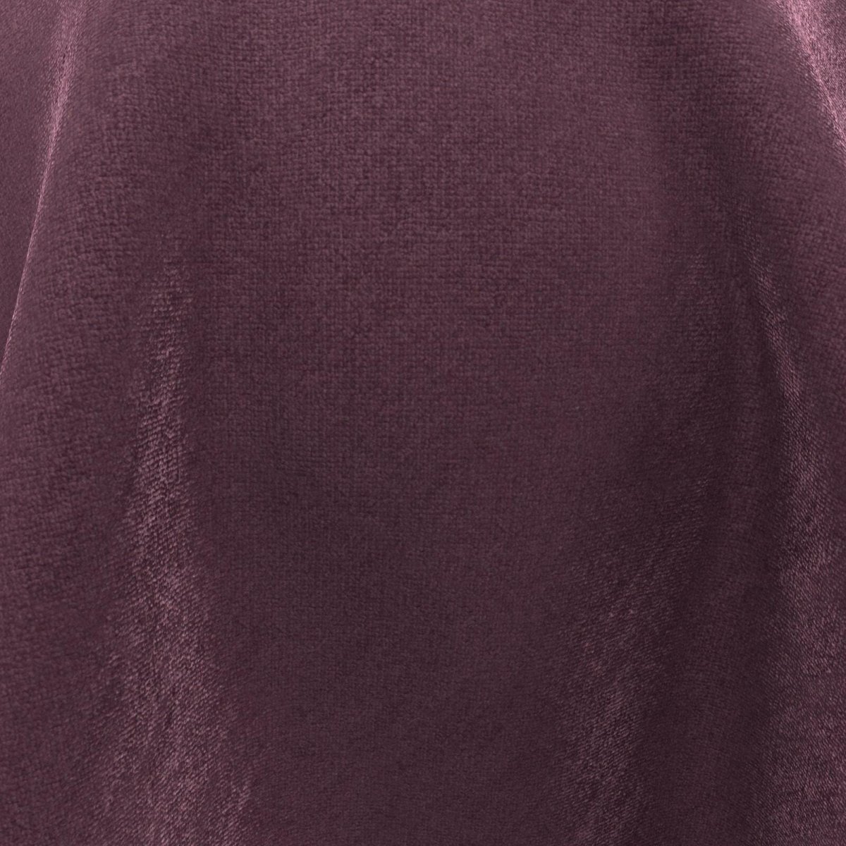 Timor_Aubergine