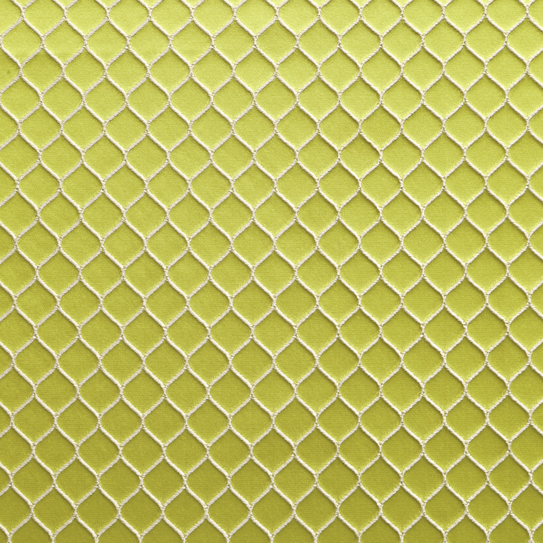 Copernico_031