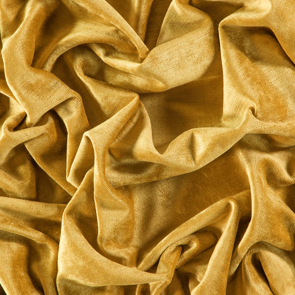 Nova_Nugget