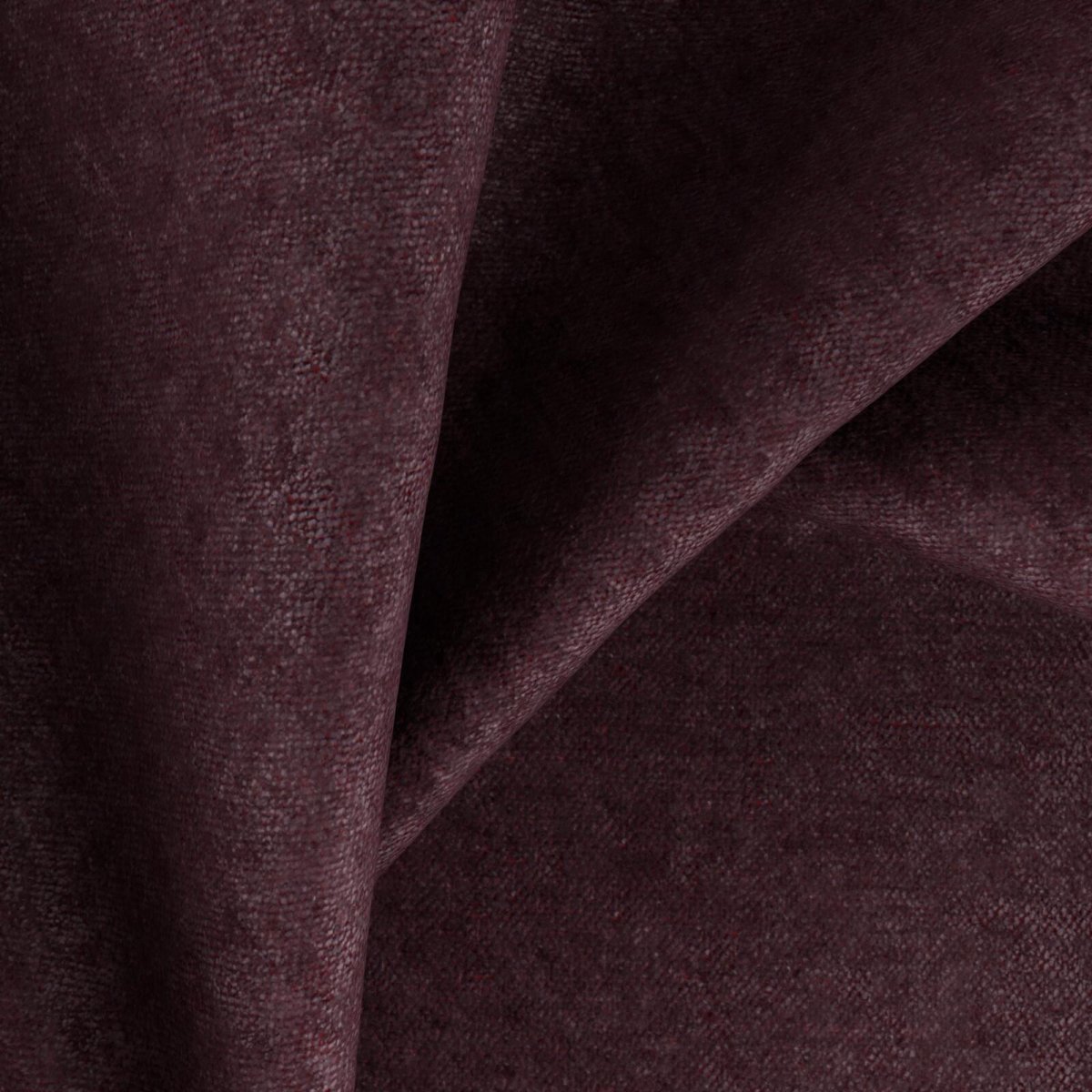 Rupat_Purple