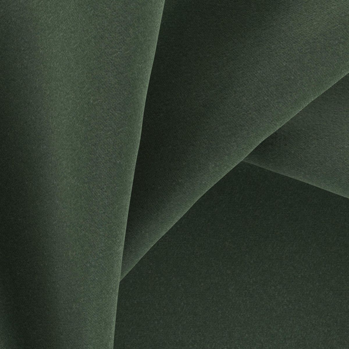 Genesis_Forest